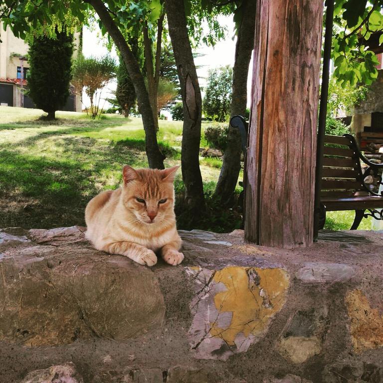 Agriturismo San Nicolo Montecastelli Pisano Екстериор снимка
